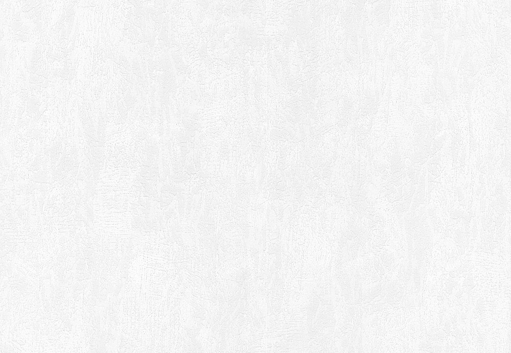 Обои A. S. Creation White & Colours 506825