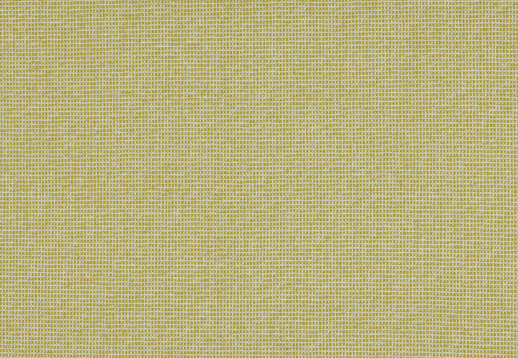 Ткань Manuel Canovas Faro M4137/03