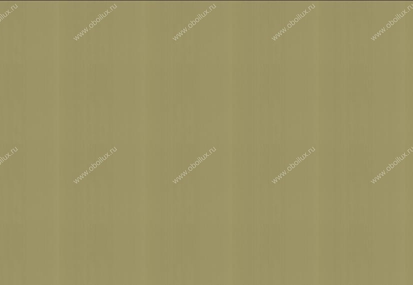 Обои Graham & Brown Spirit 50-060