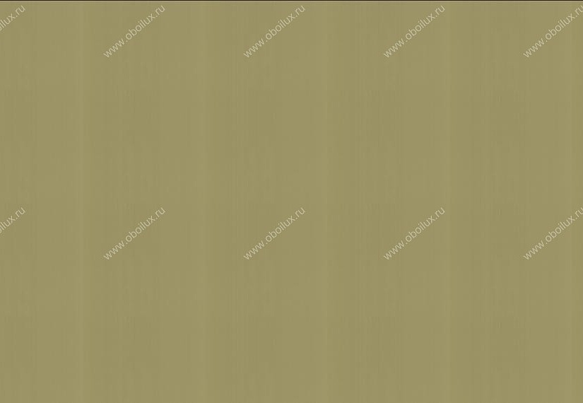 Обои Graham & Brown Spirit 50-060