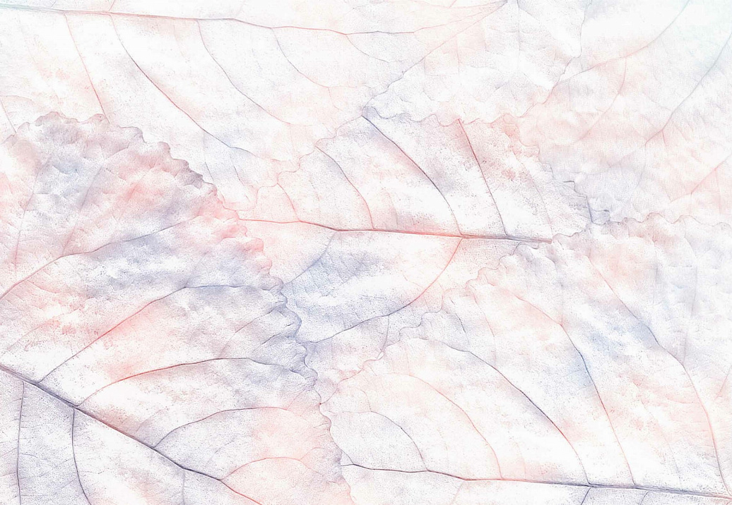Панно и фотообои Gemini Designer murals collection KT639M-C
