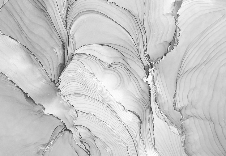 Панно и фотообои Ortograf Fluid Art 34217bw