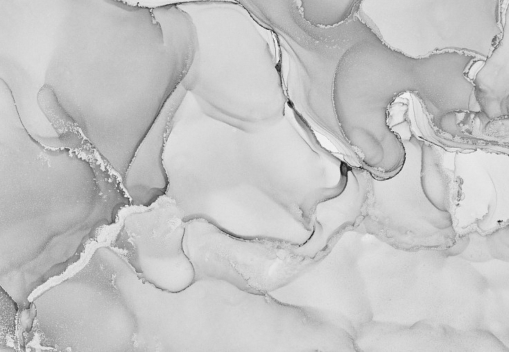 Панно и фотообои Ortograf Fluid Art 34250bw