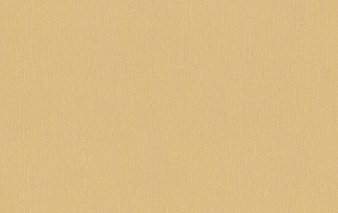 Немецкие обои A. S. Creation, коллекция Versace, артикул 34327-5