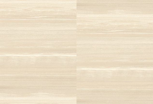 Обои Elitis Mouvements RM102402