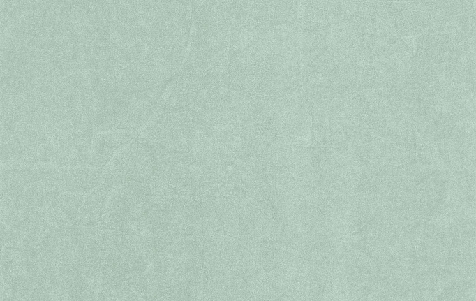 Французские обои Casadeco, коллекция Cotton Touch, артикул COTO82387254