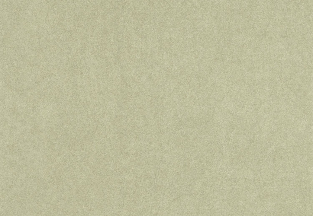 Обои Casadeco Cotton Touch COTO82387462