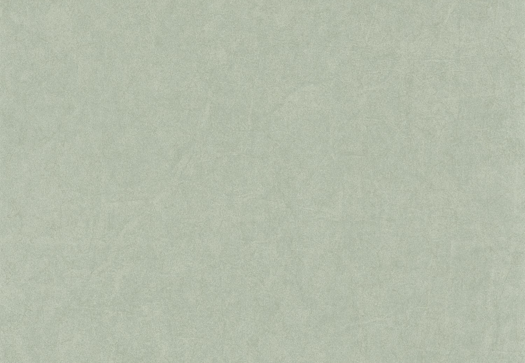 Обои Casadeco Cotton Touch COTO84077227