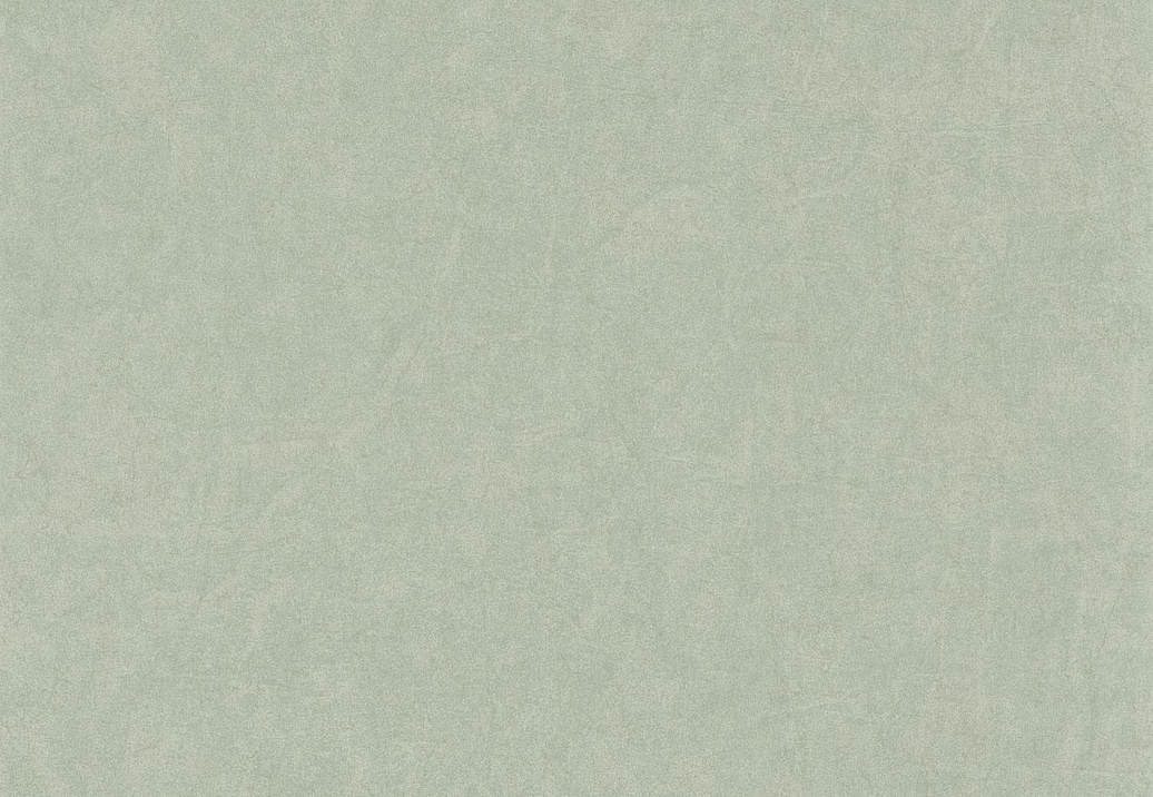 Обои Casadeco Cotton Touch COTO84077227
