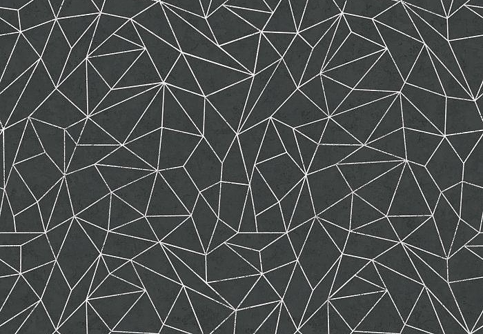 Обои Newmor Premier Geometrics-Lines/Dark