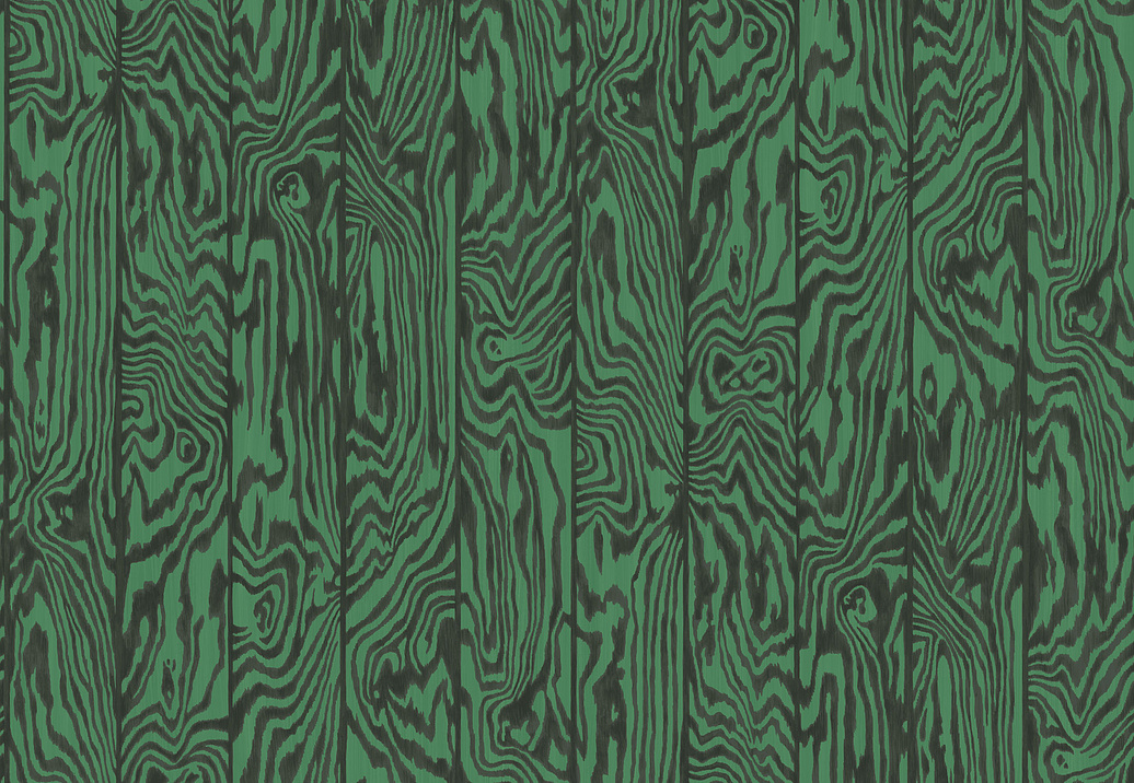 Обои Cole & Son Curio 107/1001