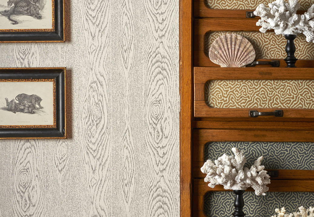 Обои Cole & Son Curio 107/10045