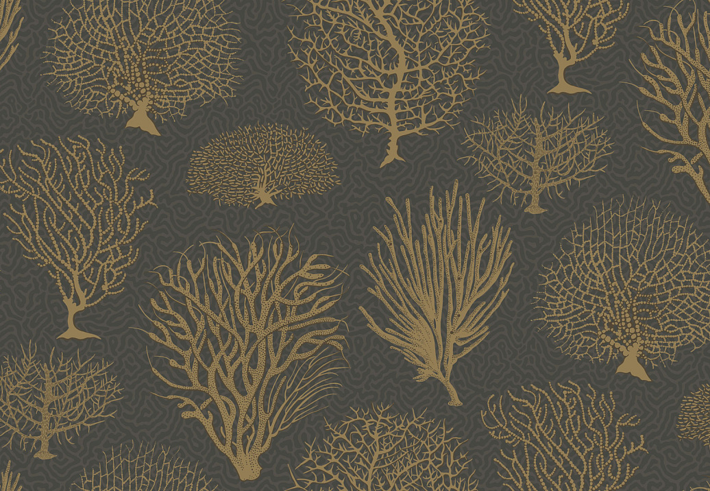 Обои Cole & Son Curio 107/2006