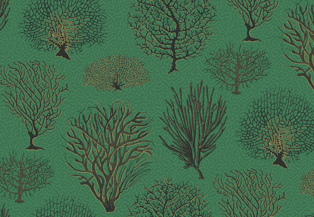 Обои Cole & Son Curio 107/2007