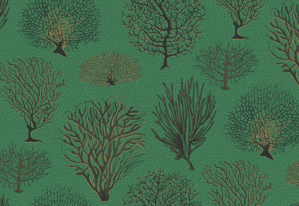 Обои Cole & Son Curio 107/2007