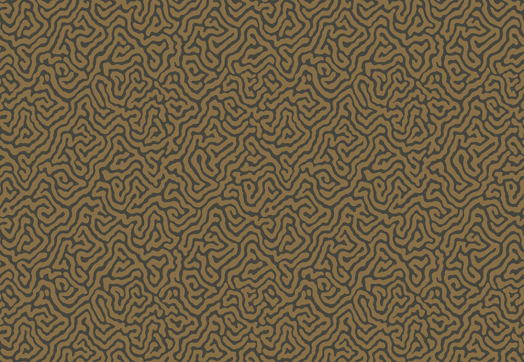 Обои Cole & Son Curio 107/4020