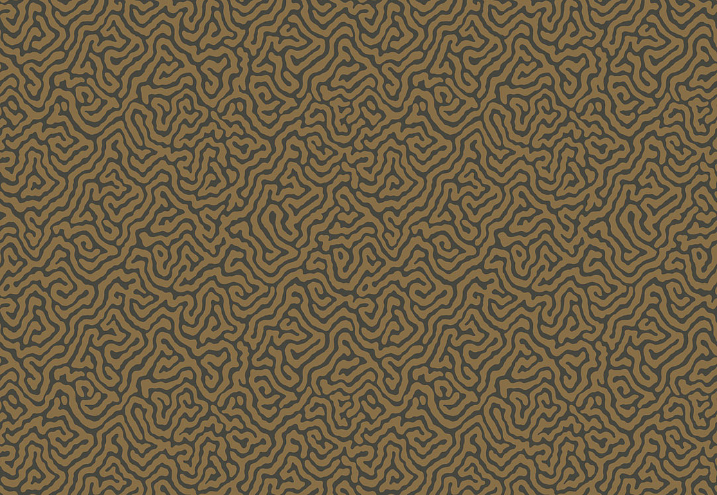 Обои Cole & Son Curio 107/4020
