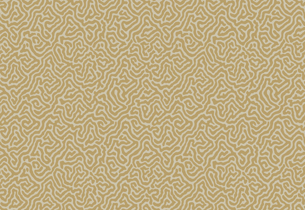 Обои Cole & Son Curio 107/4021
