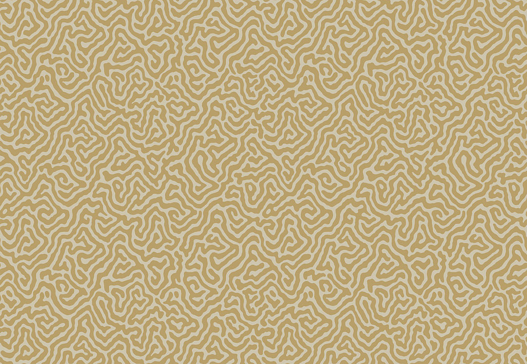 Обои Cole & Son Curio 107/4021
