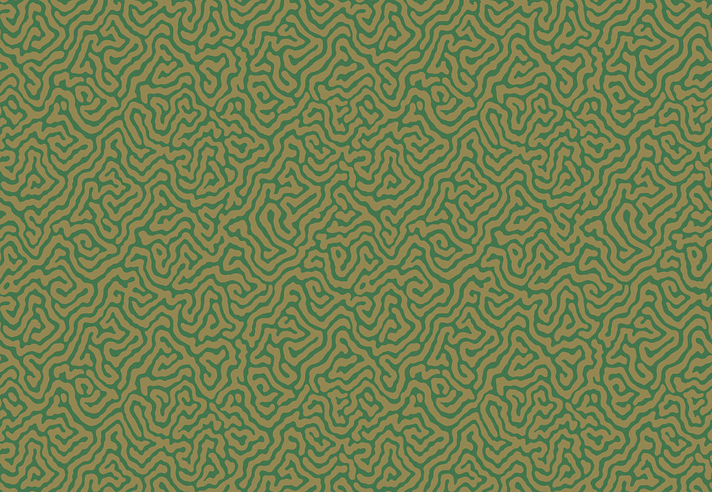 Обои Cole & Son Curio 107/4022