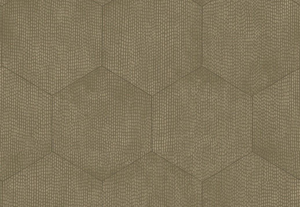Обои Cole & Son Curio 107/6028