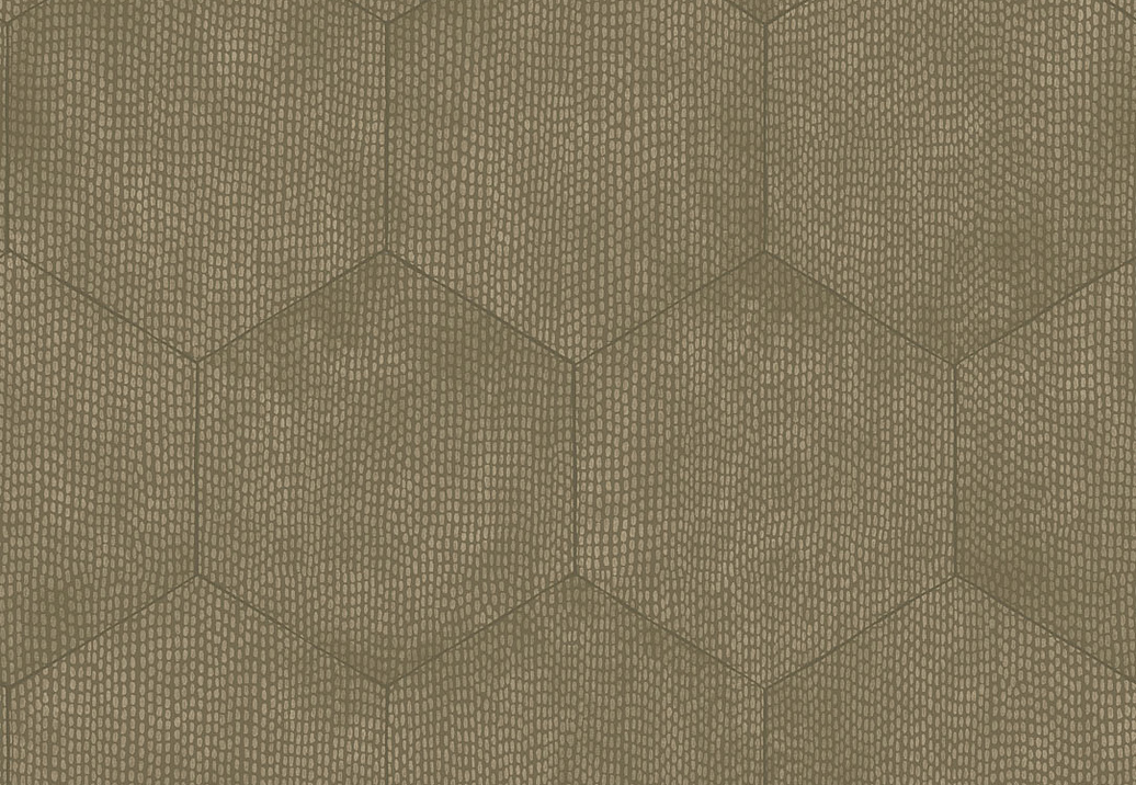 Обои Cole & Son Curio 107/6028