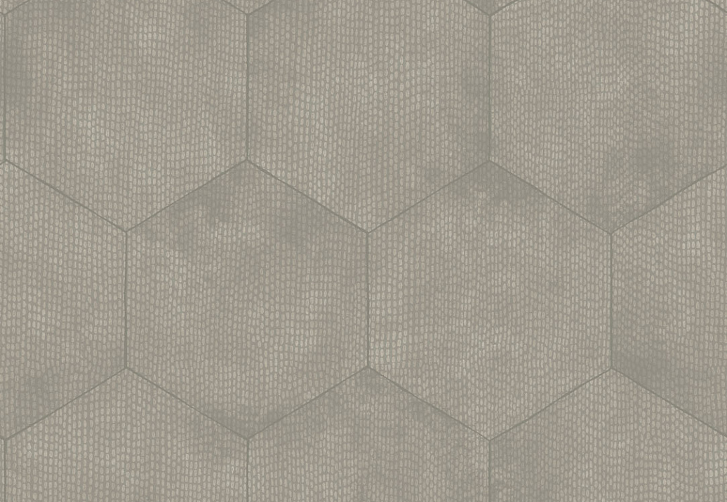 Обои Cole & Son Curio 107/6030