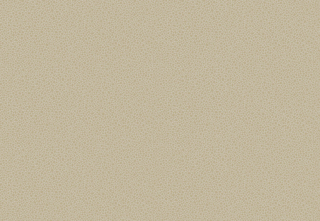 Обои Cole & Son Curio 107/9042