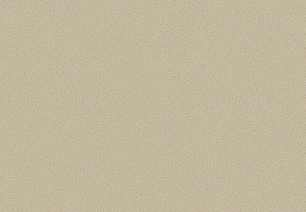 Обои Cole & Son Curio 107/9042