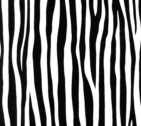 Обои Caselio Black & White BTW61149018