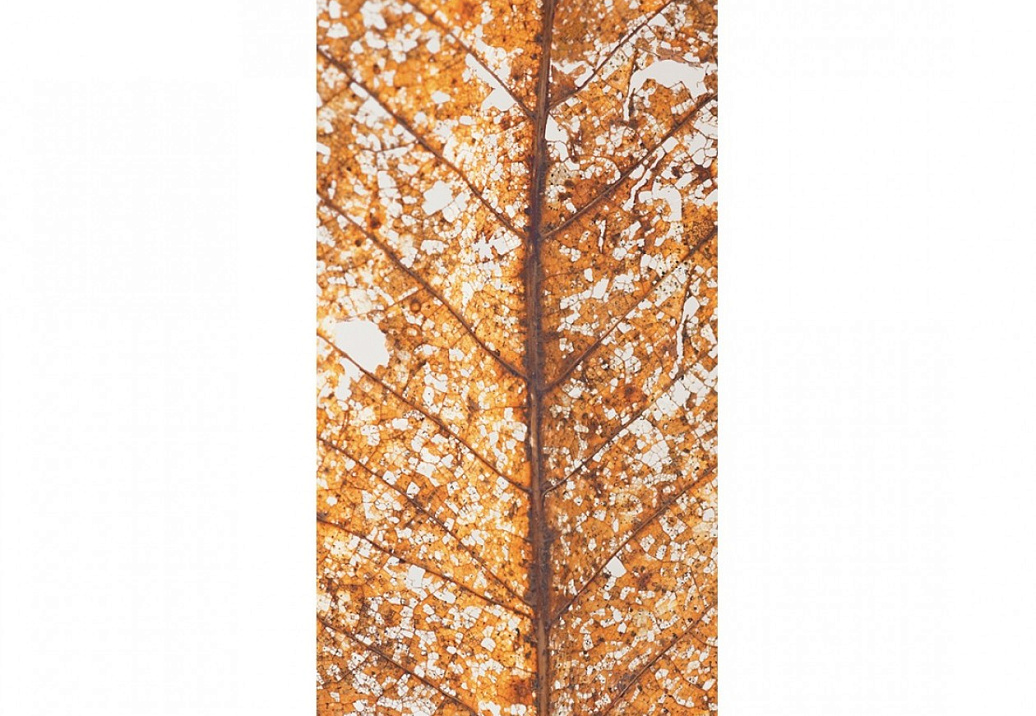 Панно и фотообои Caselio Trendy Panels TDP58771040