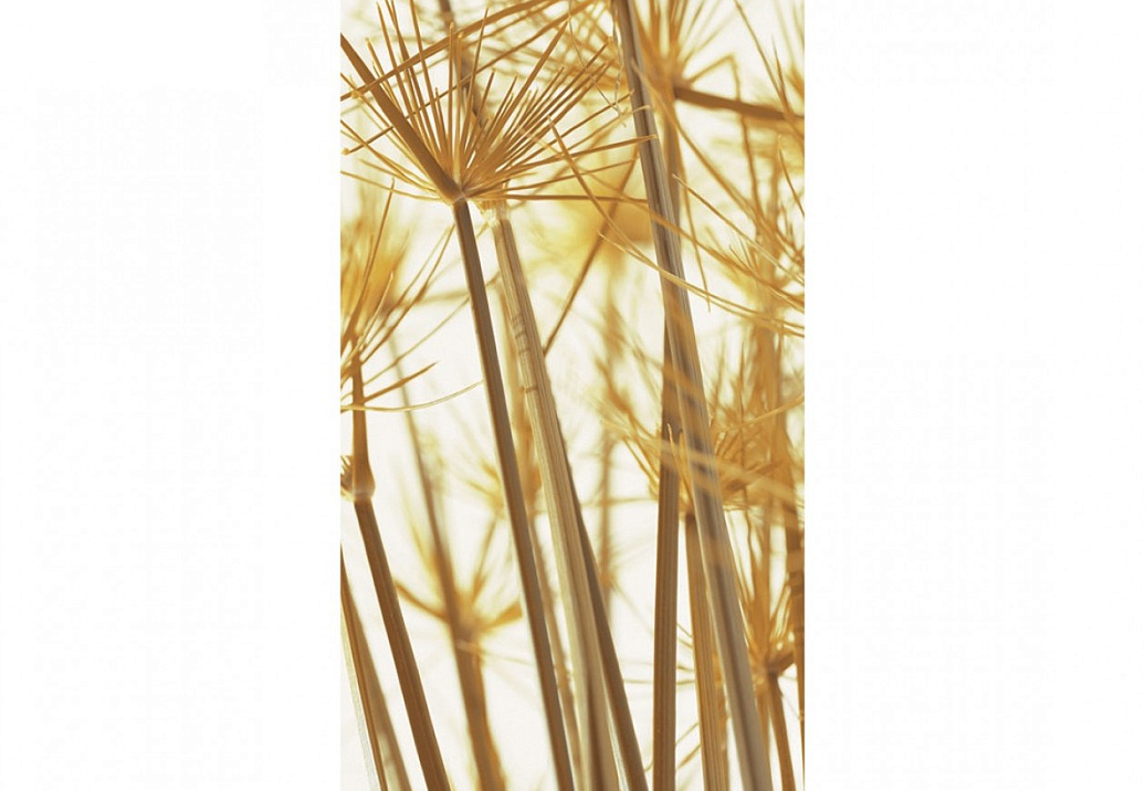 Панно и фотообои Caselio Trendy Panels TDP58787060