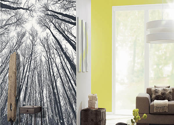 Панно и фотообои Caselio Trendy Panels TDP61398043