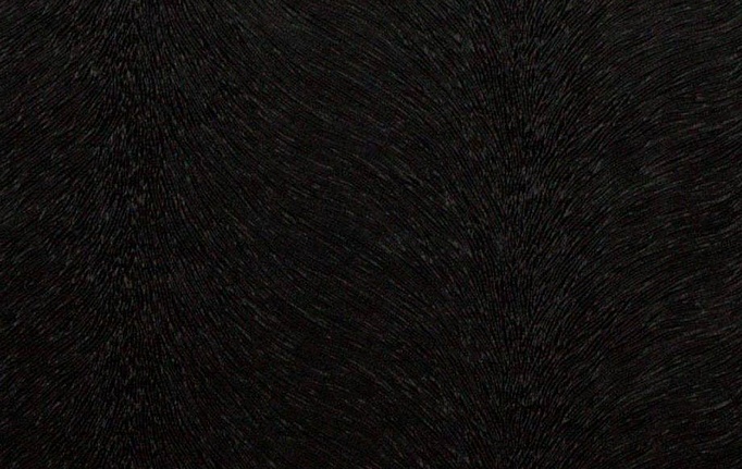 Английская ткань KAI, коллекция Allegra, артикул Allegra/Coal