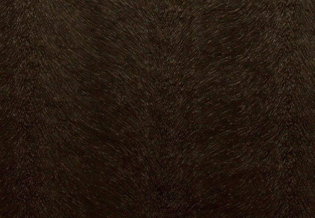 Ткань KAI Allegra Allegra/Chocolate