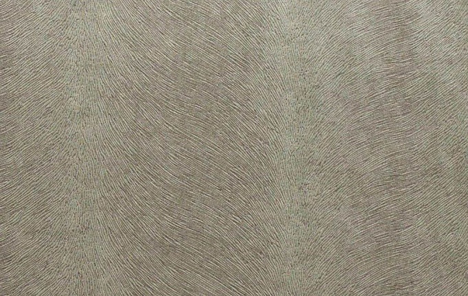 Английская ткань KAI, коллекция Allegra, артикул Allegra/Silver