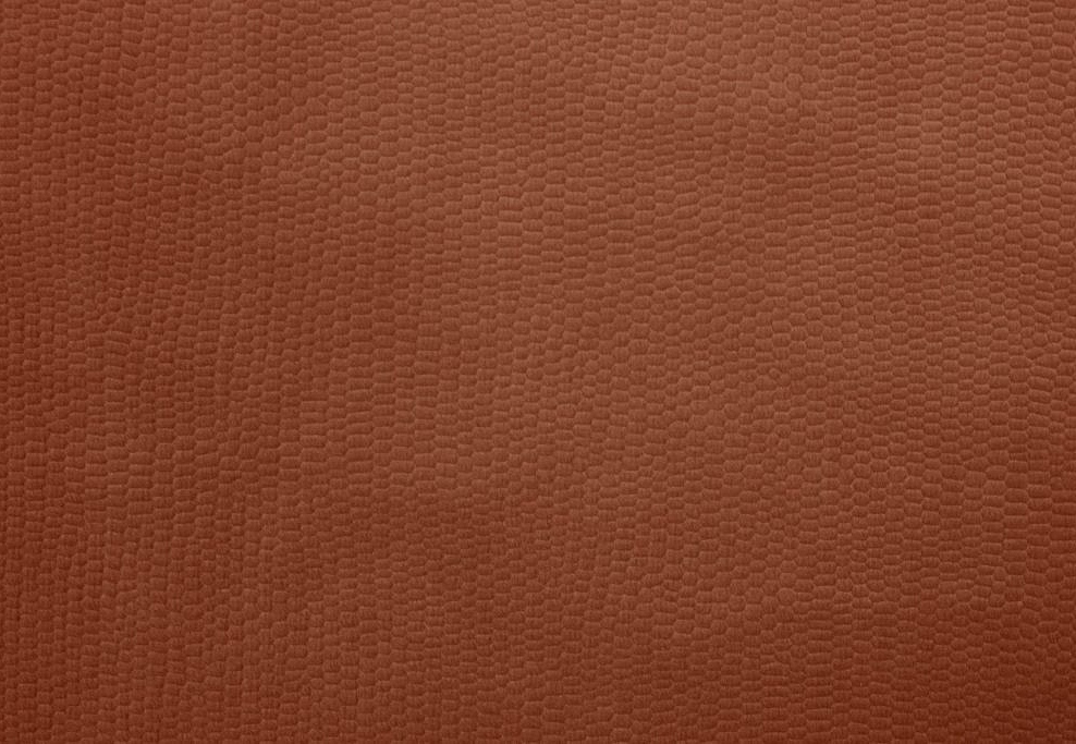 Ткань Ashley Wilde Hugo Hugo/Terracotta