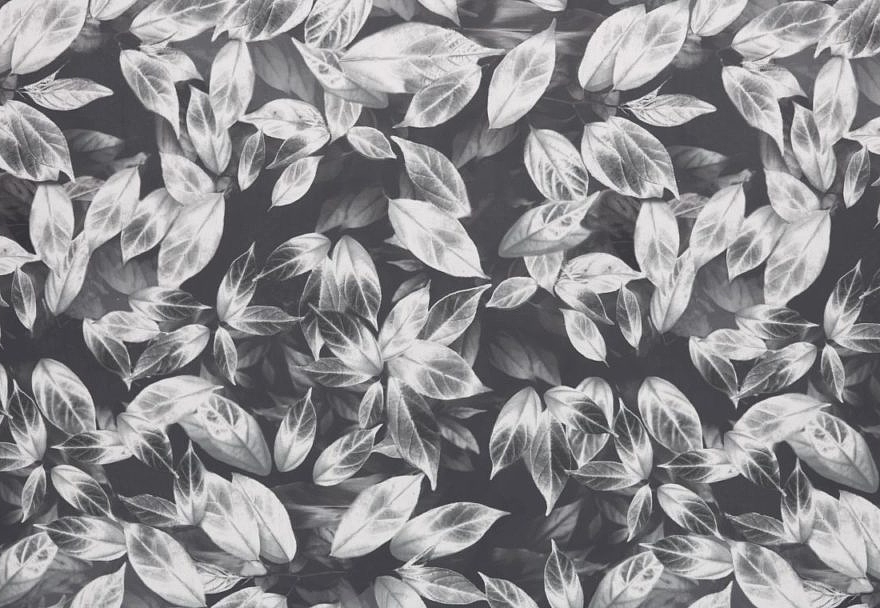 Ткань Ashley Wilde Velluto Giardino/Slate