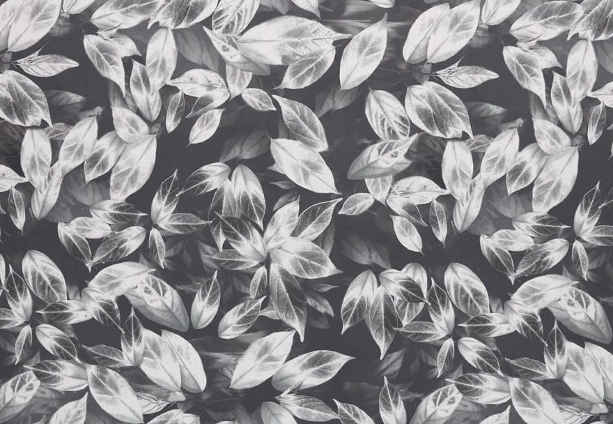 Ткань Ashley Wilde Velluto Giardino/Slate