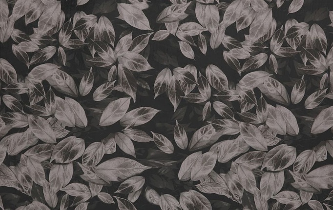 Английская ткань Ashley Wilde, коллекция Velluto, артикул Giardino/Truffle