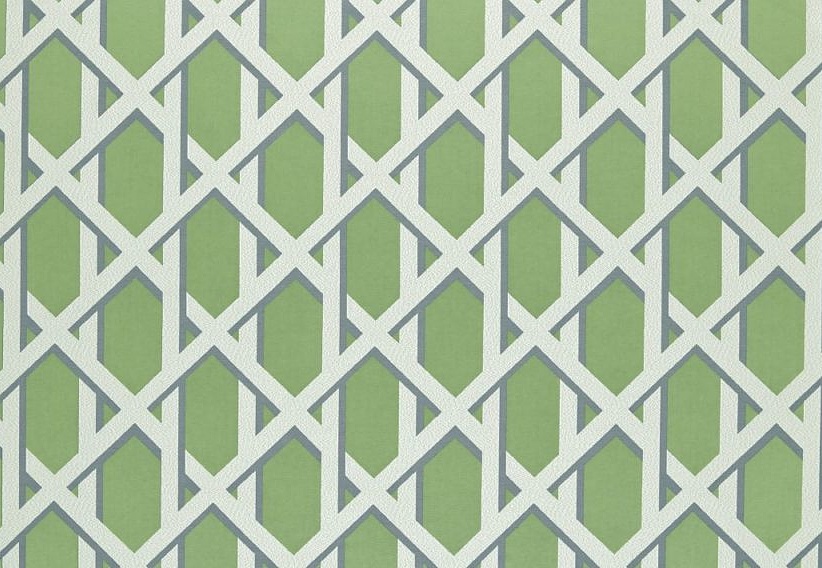 Ткань Ashley Wilde Palm House Lattice/Kiwi