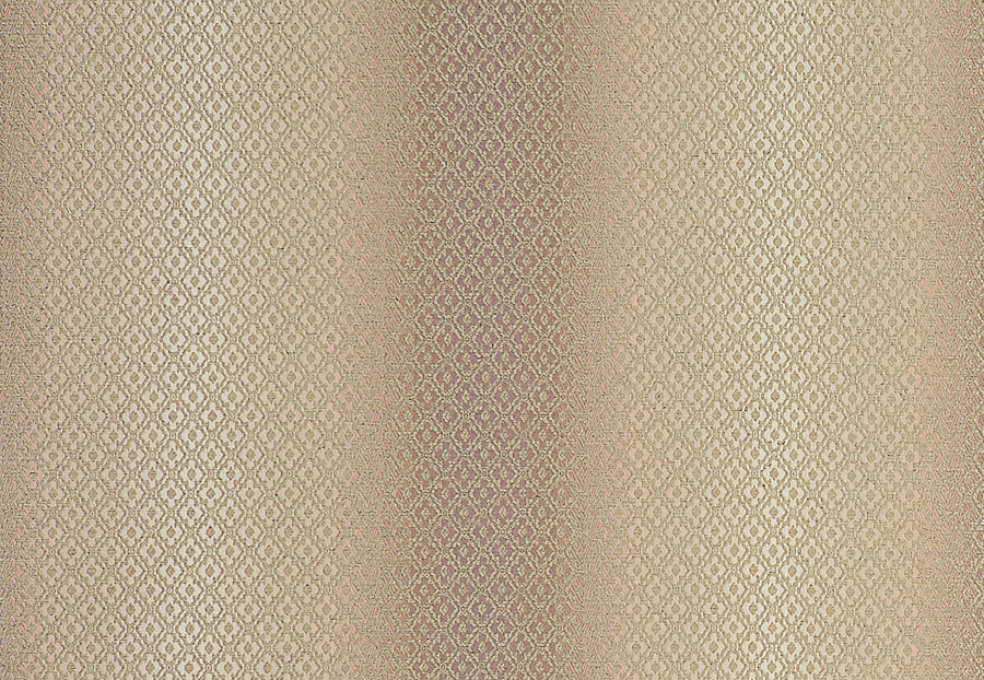 Ткань Clarke & Clarke Palladio F0790/05