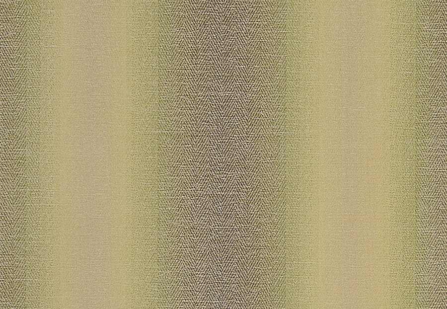 Ткань Clarke & Clarke Palladio F0789/06