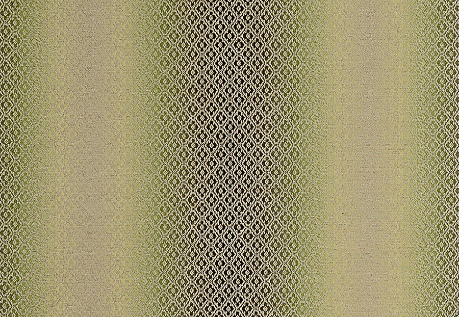 Ткань Clarke & Clarke Palladio F0790/06