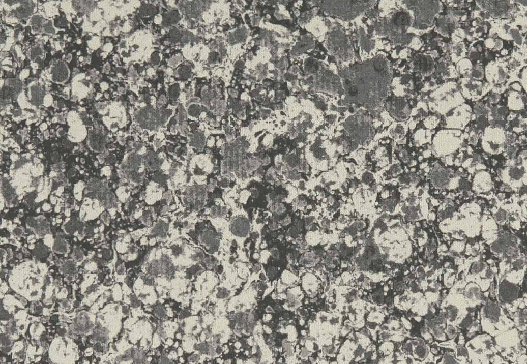 Ткань Clarke & Clarke Elementa Fr Prints F1198/02