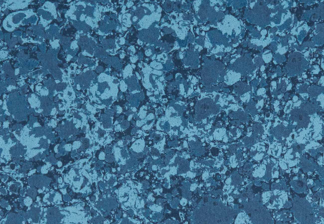 Ткань Clarke & Clarke Elementa Fr Prints F1198/04