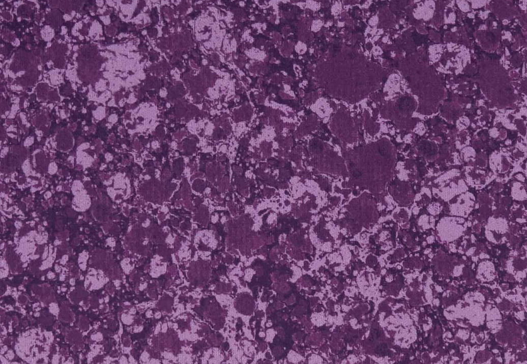 Ткань Clarke & Clarke Elementa Fr Prints F1198/03
