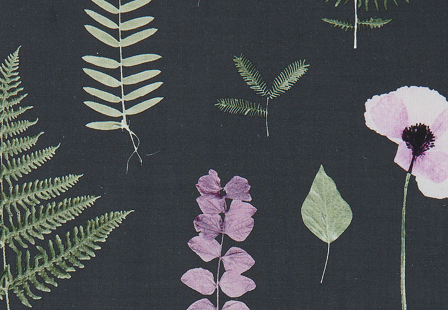 Ткань Clarke & Clarke Botanica F1089/03