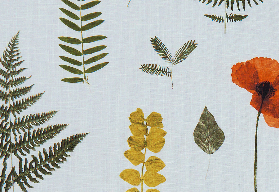 Ткань Clarke & Clarke Botanica F1089/04