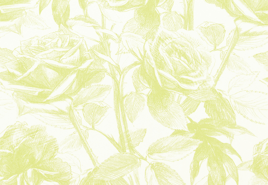 Ткань Clarke & Clarke Floribunda F0474/03